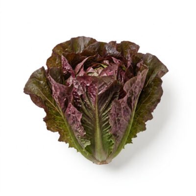 Lechuga roja (unidad)