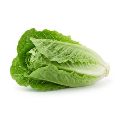 Lechuga romana (unidad)